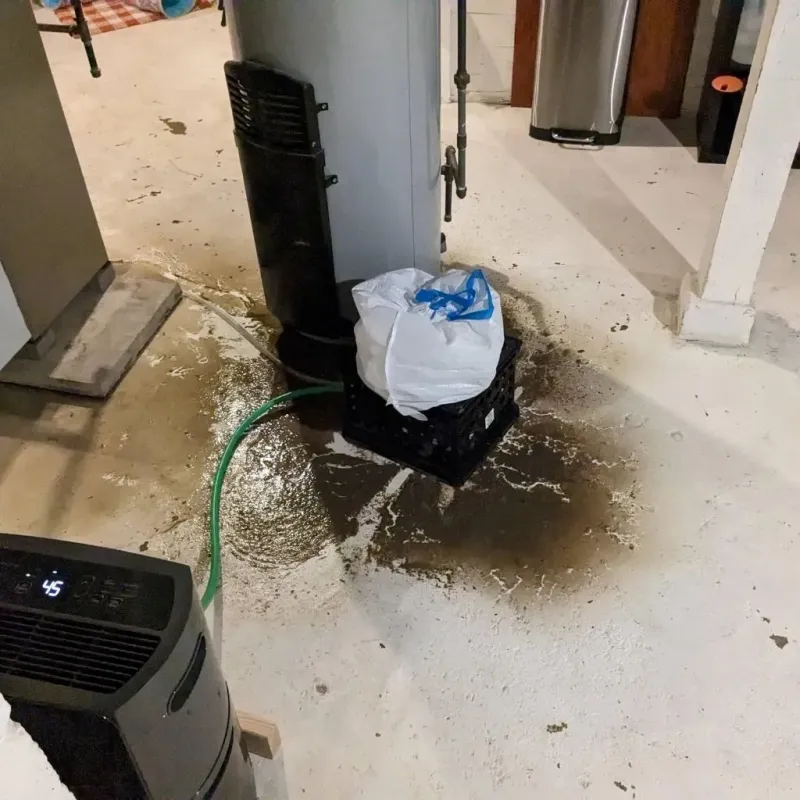 Sewage Backup Cleanup Service in Tensas Parish, LA